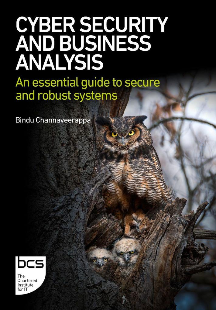 Cyber Security and Business Analysis