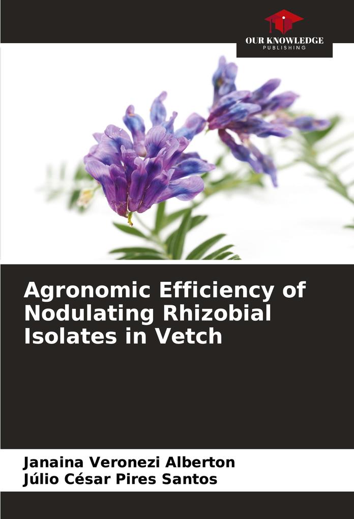 Agronomic Efficiency of Nodulating Rhizobial Isolates in Vetch