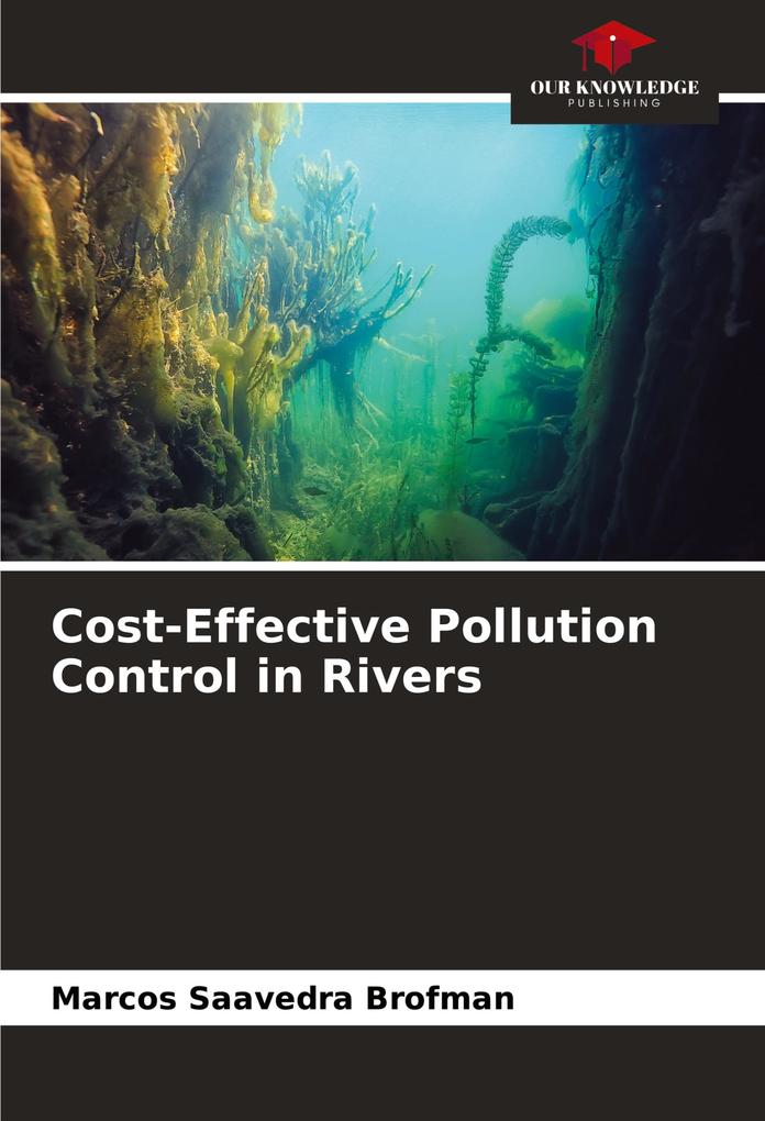 Cost-Effective Pollution Control in Rivers