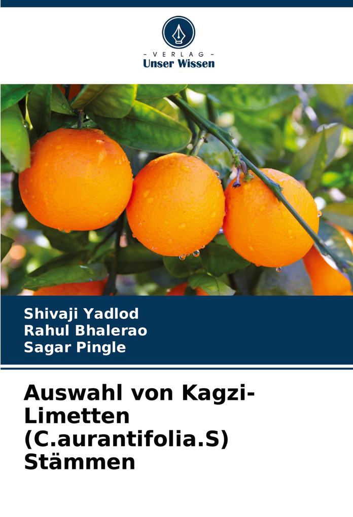 Auswahl von Kagzi-Limetten (C.aurantifolia.S) Stämmen