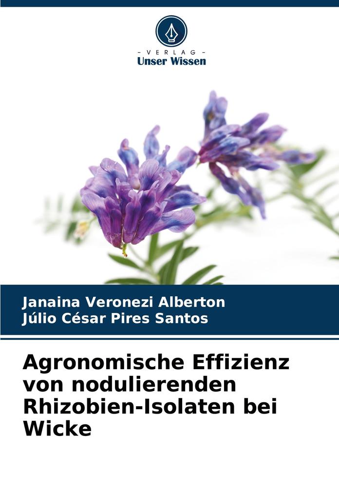 Agronomische Effizienz von nodulierenden Rhizobien-Isolaten bei Wicke