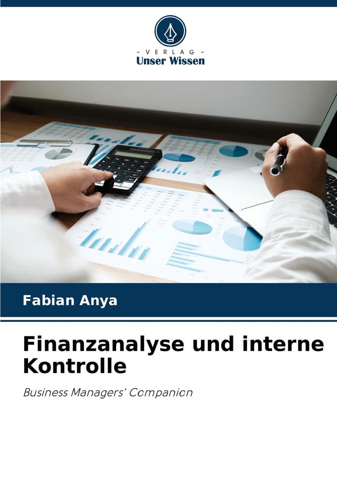 Finanzanalyse und interne Kontrolle