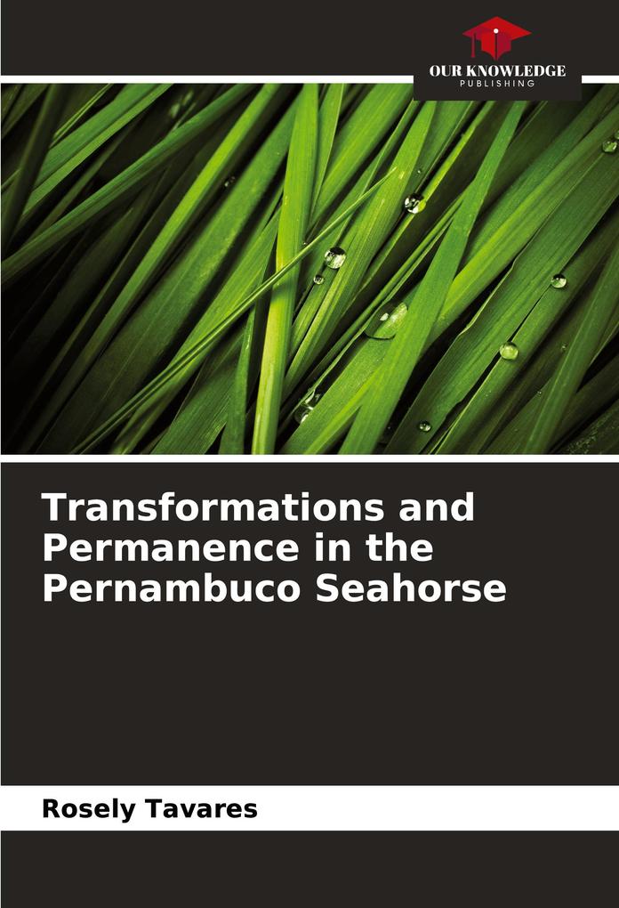 Transformations and Permanence in the Pernambuco Seahorse
