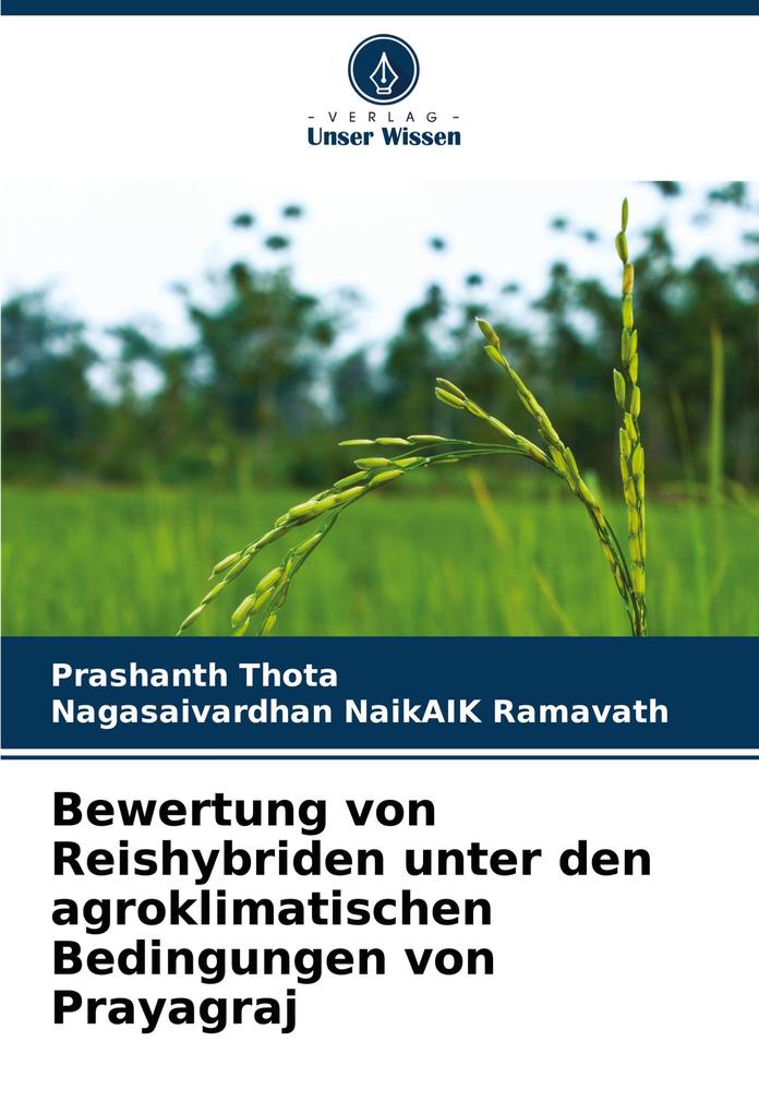 Bewertung von Reishybriden unter den agroklimatischen Bedingungen von Prayagraj