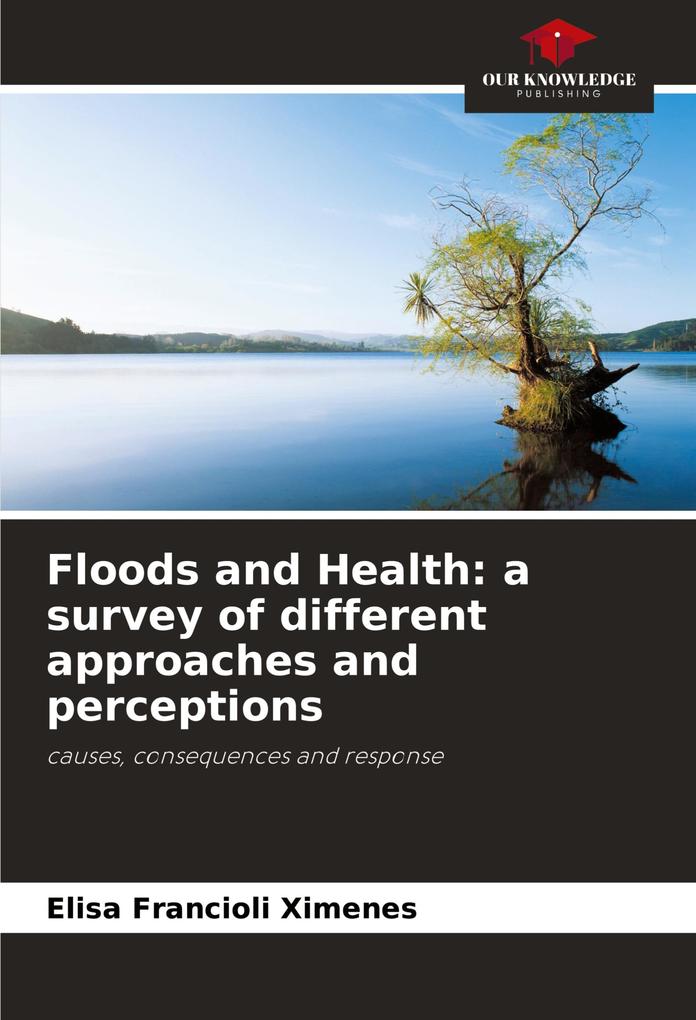 Floods and Health: a survey of different approaches and perceptions