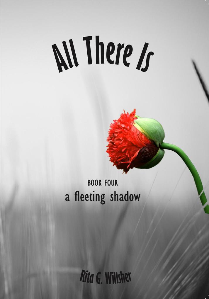 All There Is - Book 4 - A Fleeting Shadow