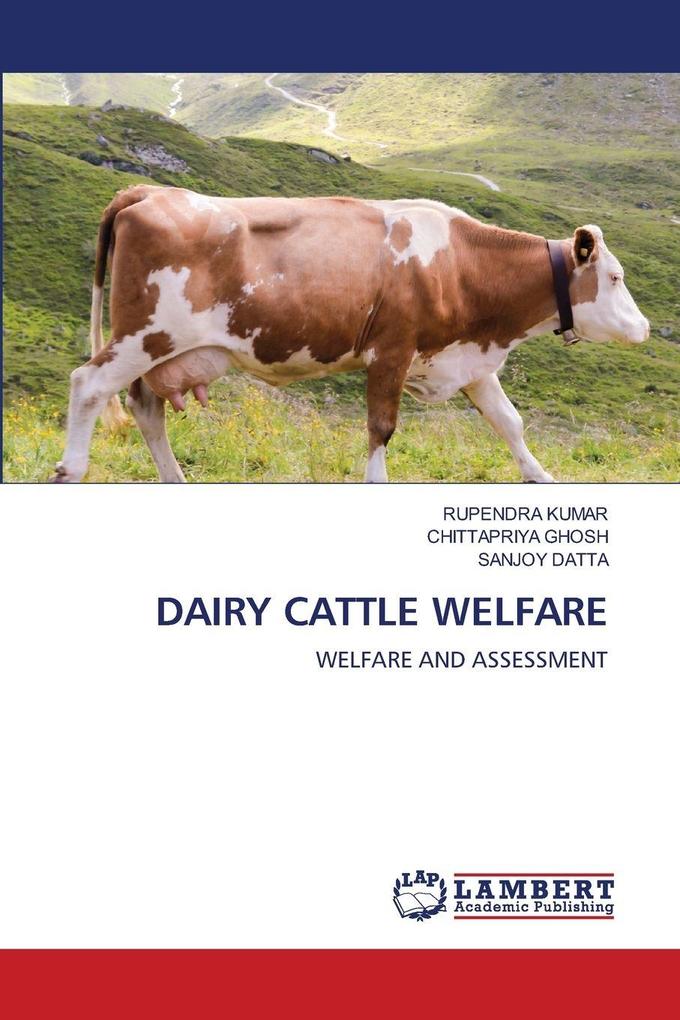 DAIRY CATTLE WELFARE