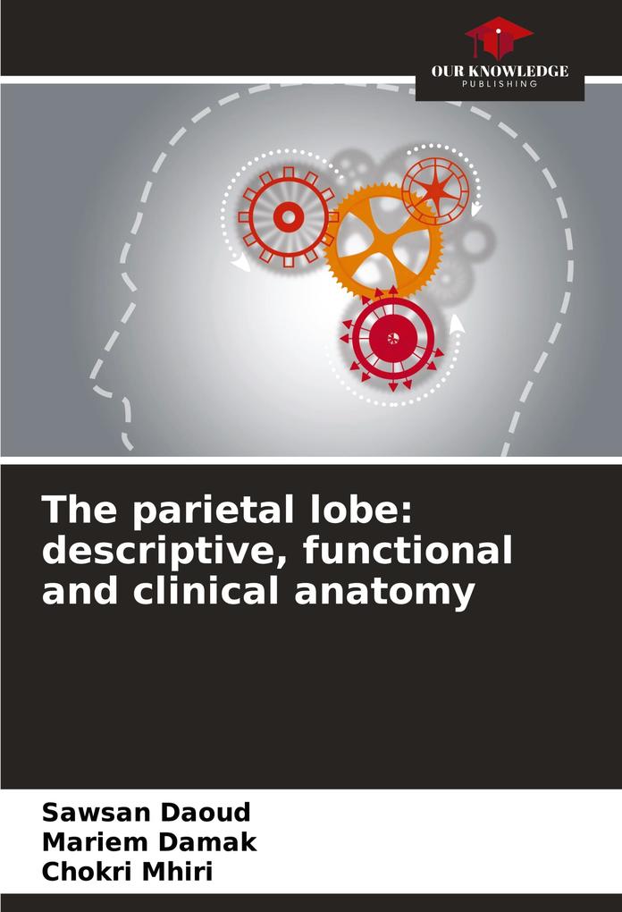 The parietal lobe: descriptive functional and clinical anatomy