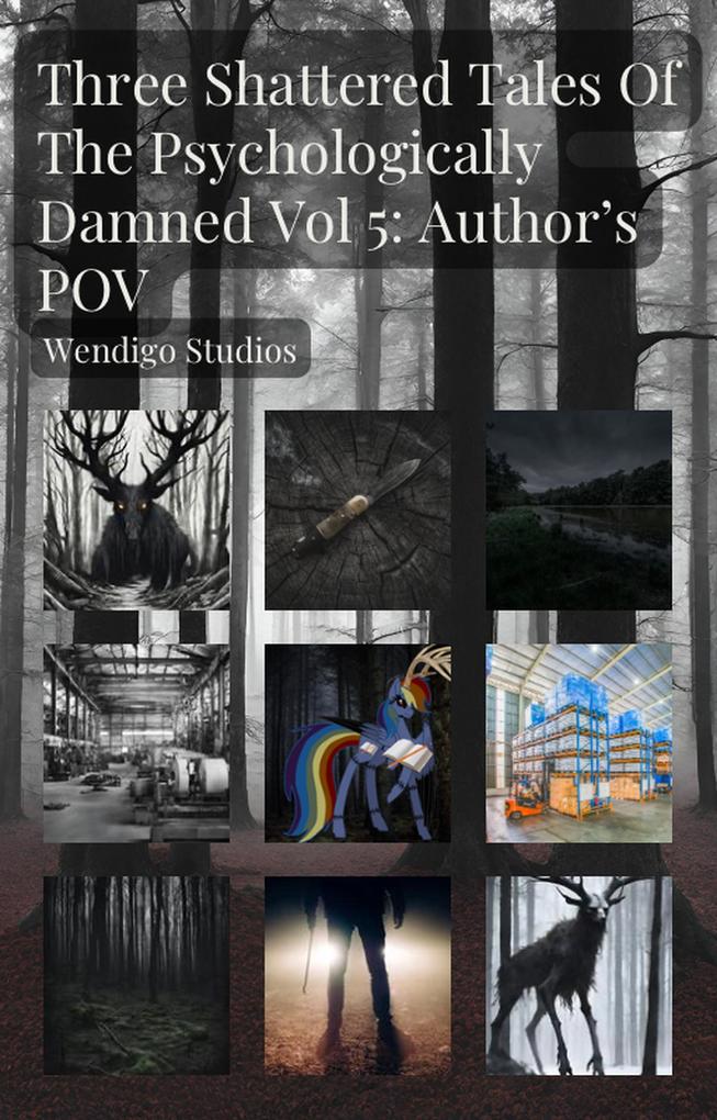 Three Shattered Tales Of The Psychologically Damned Vol 5: Author's POV
