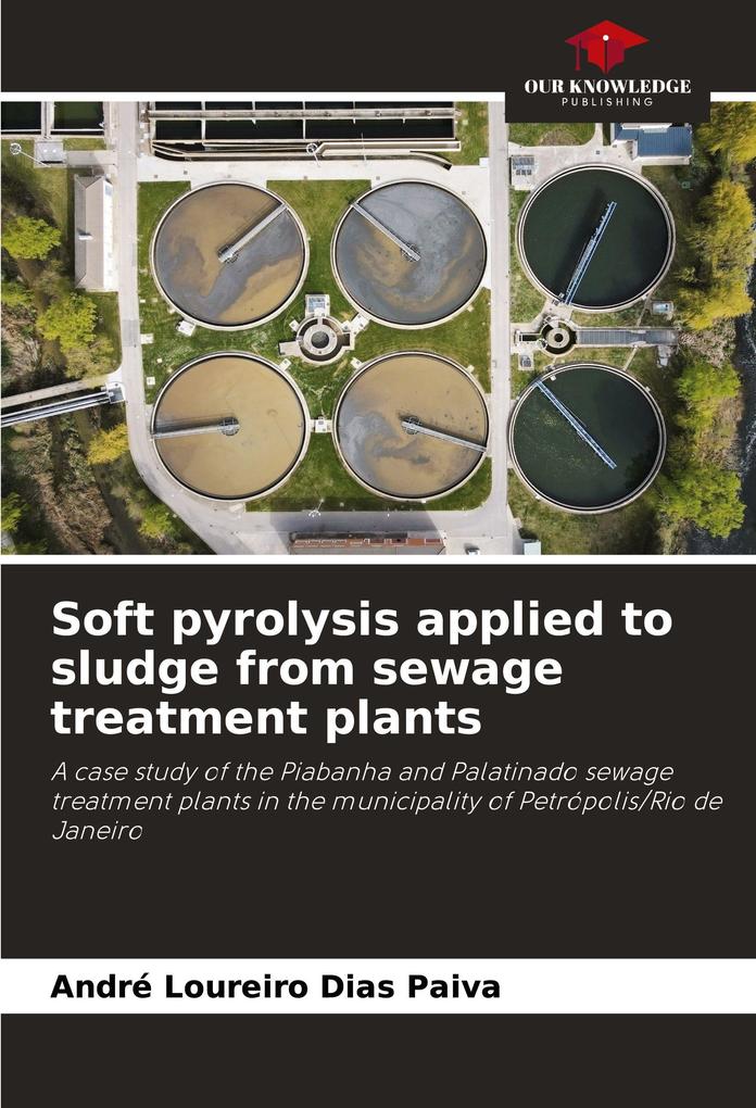 Soft pyrolysis applied to sludge from sewage treatment plants