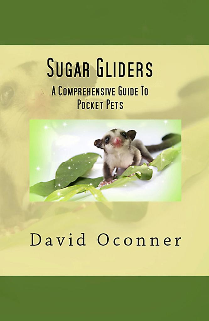 Sugar Gliders