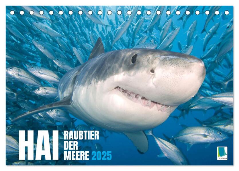 Hai: Raubtier der Meere (Tischkalender 2025 DIN A5 quer) CALVENDO Monatskalender