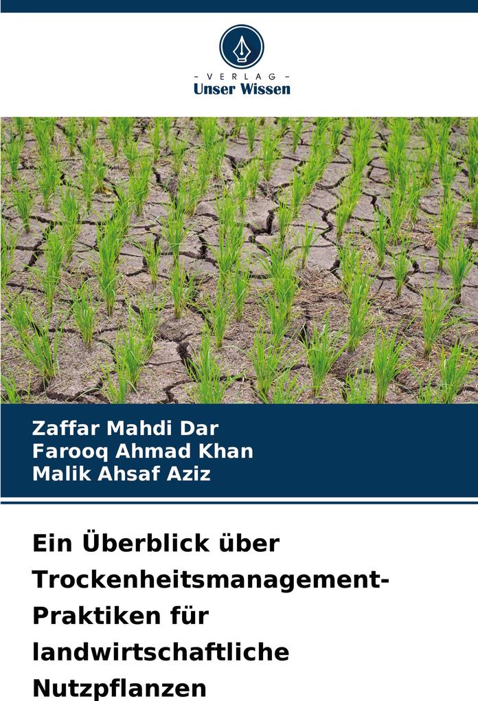 Ein Überblick über Trockenheitsmanagement-Praktiken für landwirtschaftliche Nutzpflanzen