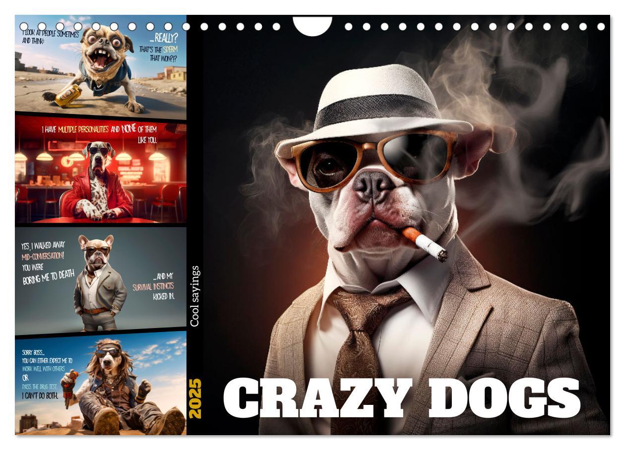 Crazy dogs COOL SAYINGS (Wall Calendar 2025 DIN A4 landscape) CALVENDO 12 Month Wall Calendar