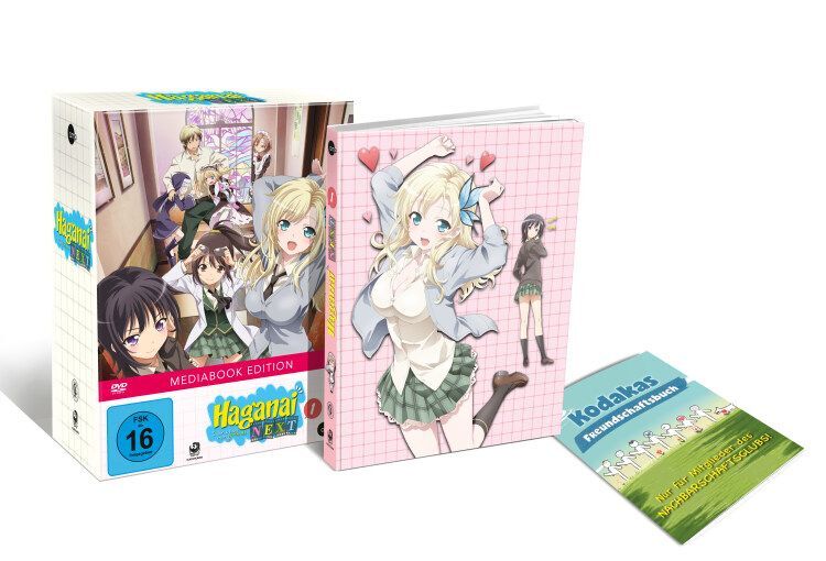 Haganai Next