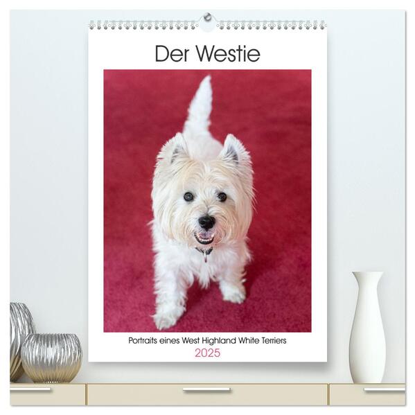 Der Westie - Portrait eines West Highland White Terriers (hochwertiger Premium Wandkalender 2025 DIN A2 hoch) Kunstdruck in Hochglanz