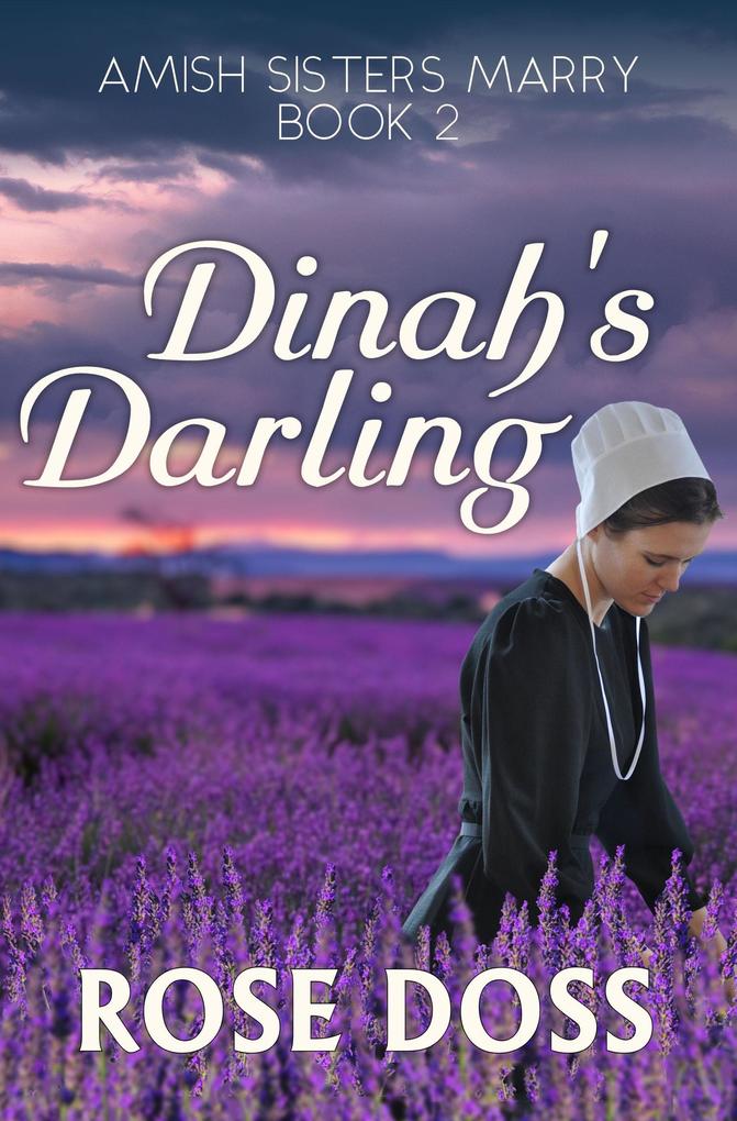 Dinah‘s Darling (Amish Sisters Marry Romance series Bk2)