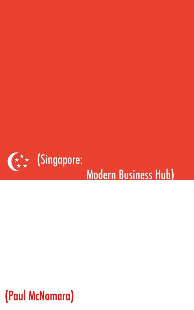 Singapore Modern Business Hub: A Mini Guide