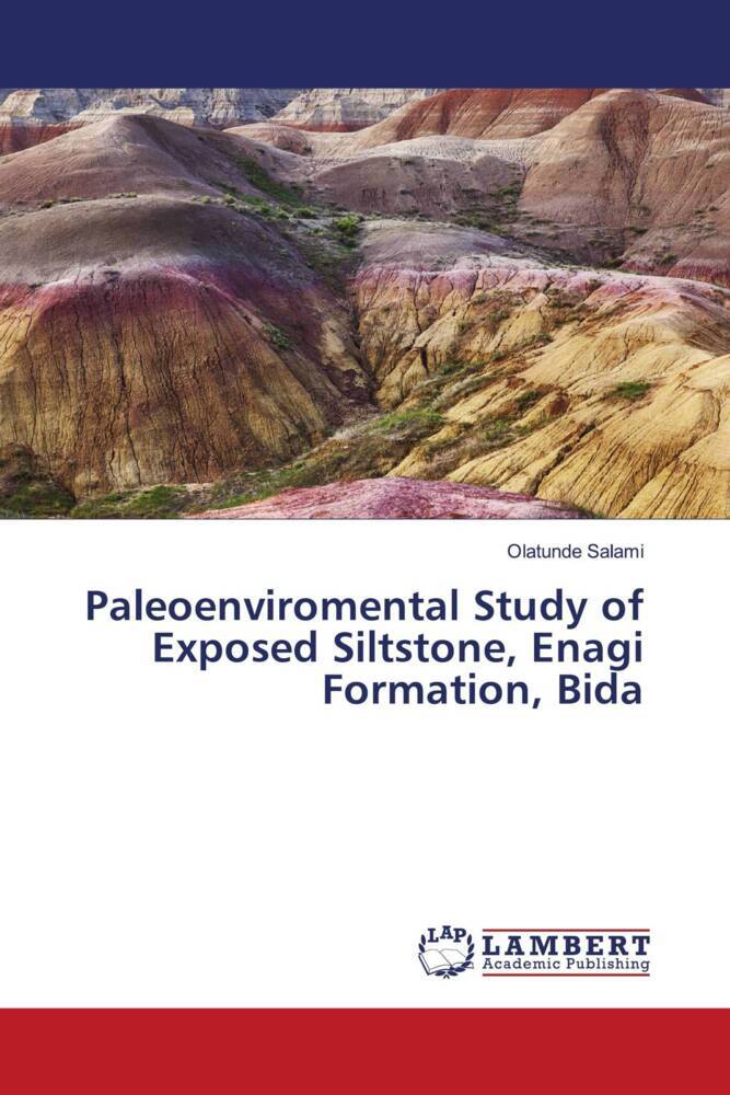 Paleoenviromental Study of Exposed Siltstone Enagi Formation Bida