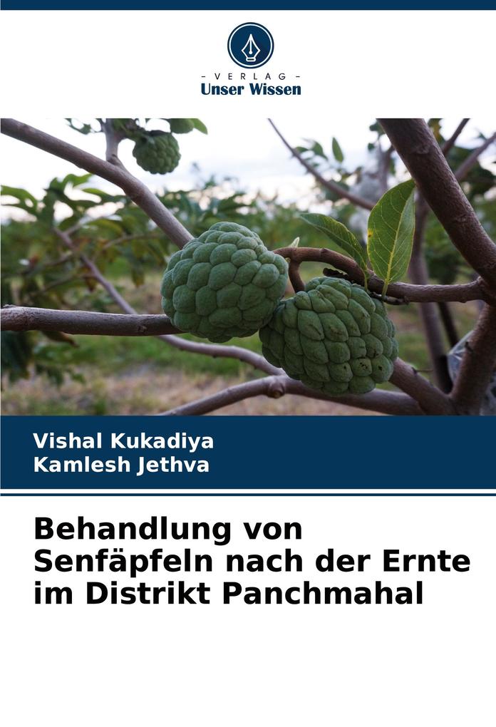 Behandlung von Senfäpfeln nach der Ernte im Distrikt Panchmahal