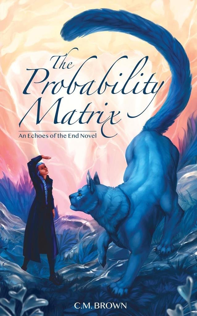 The Probability Matrix