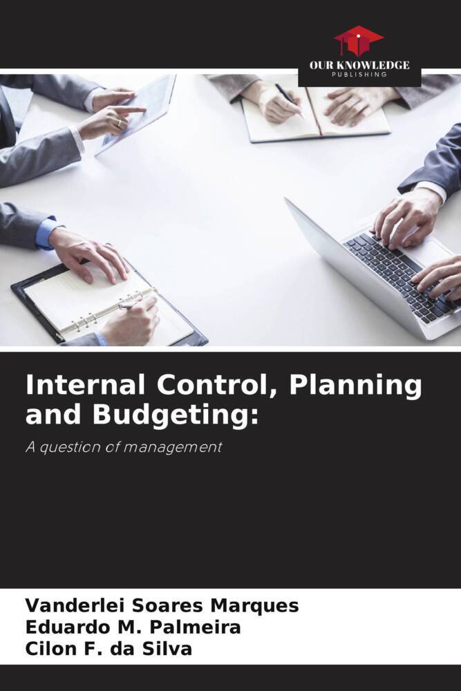 Internal Control Planning and Budgeting: