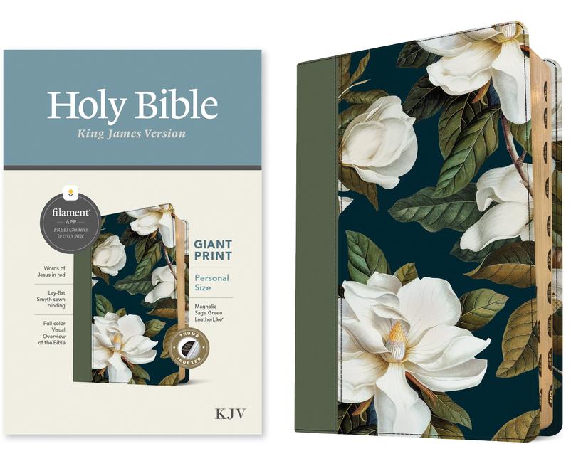 KJV Personal Size Giant Print Bible Filament-Enabled Edition (Leatherlike Magnolia Sage Green Indexed Red Letter)