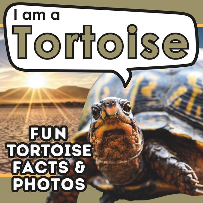 I am a Tortoise