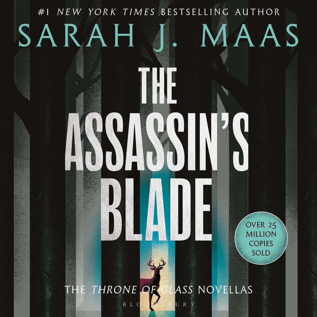 The Assassin‘s Blade