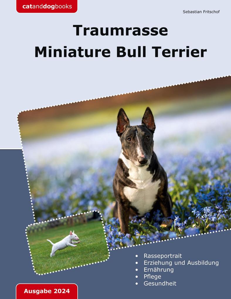 Traumrasse Miniature Bull Terrier
