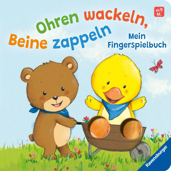 Ohren wackeln Beine zappeln: Mein Fingerspielbuch. Babybuch ab 9 Monaten