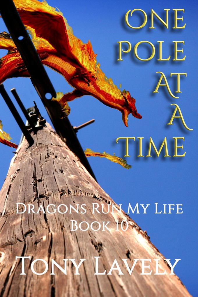 One Pole At A Time (Dragons Run My Life #10)