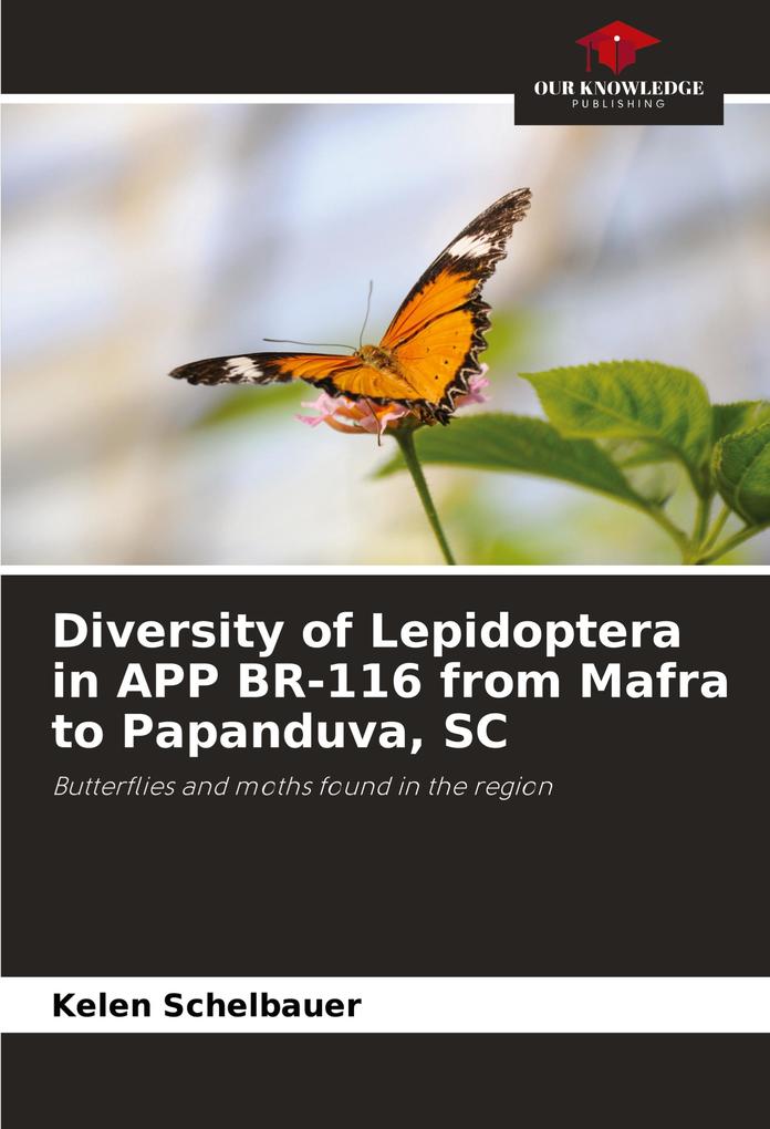 Diversity of Lepidoptera in APP BR-116 from Mafra to Papanduva SC
