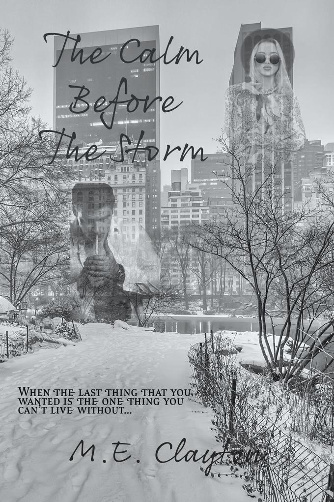 The Calm Before the Storm (The Storm Series #2)