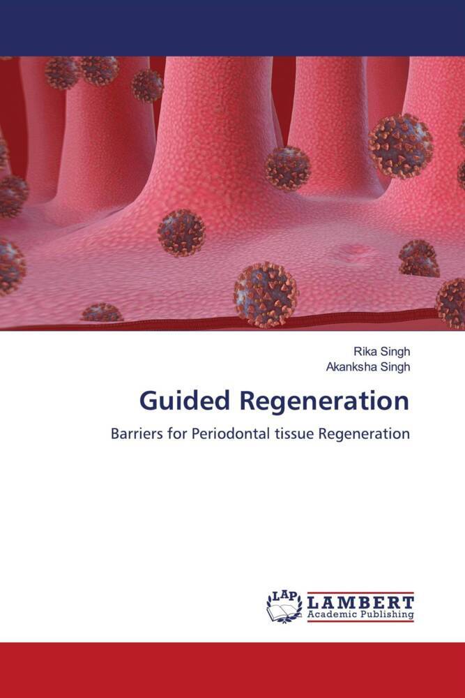 Guided Regeneration