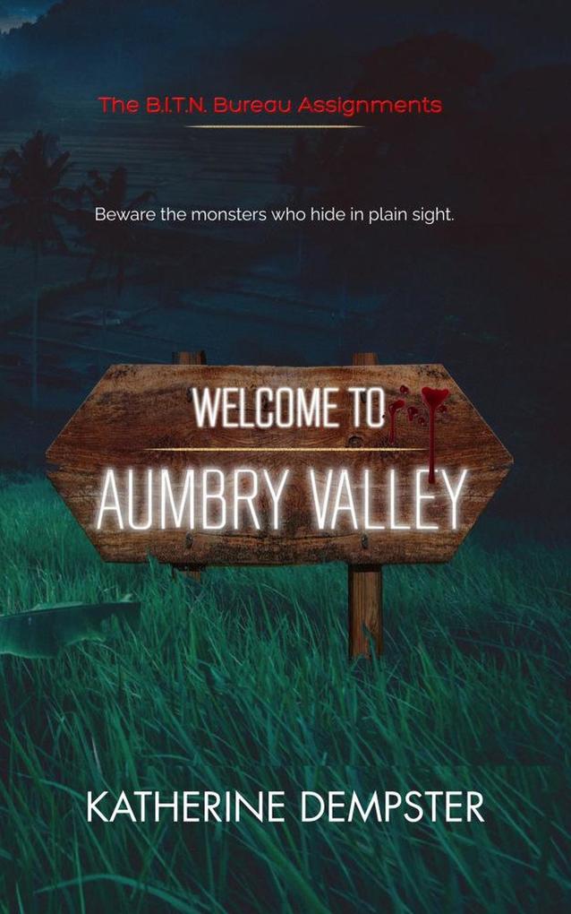 Welcome to Aumbry Valley (The B.I.T.N. Assignments #1)