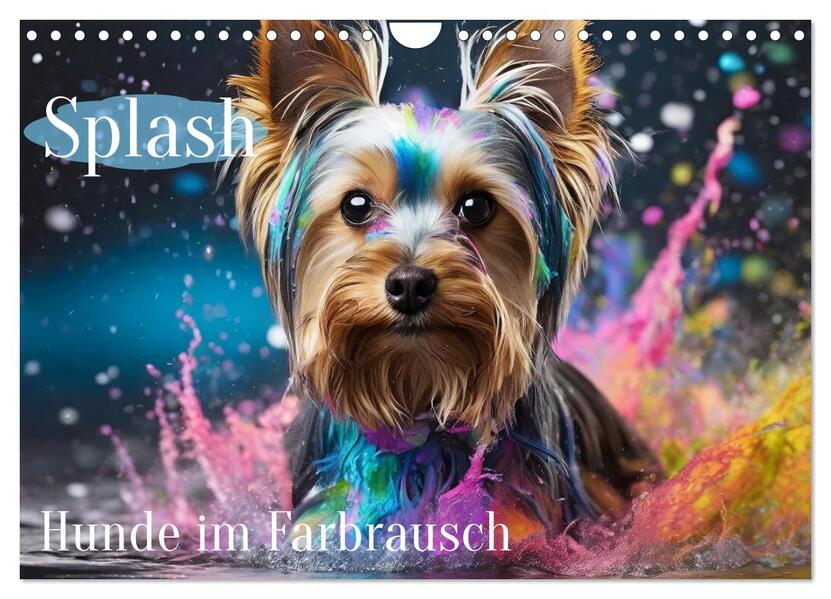 Splash - Hunde im Farbrausch (Wandkalender 2025 DIN A4 quer) CALVENDO Monatskalender