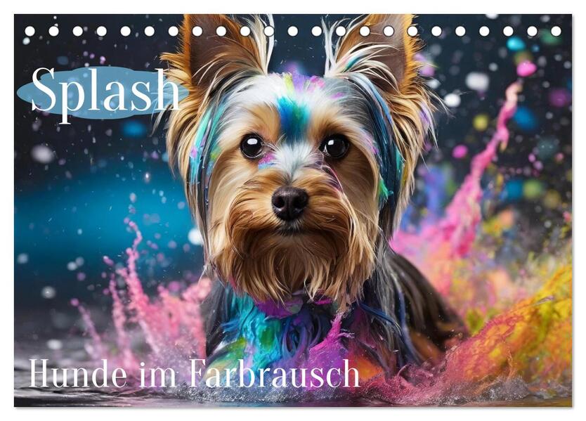 Splash - Hunde im Farbrausch (Tischkalender 2025 DIN A5 quer) CALVENDO Monatskalender