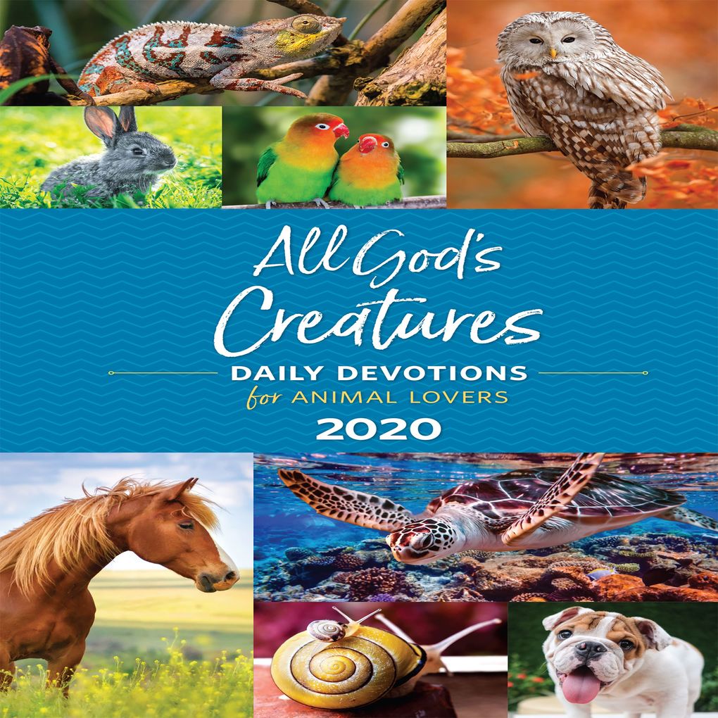All God‘s Creatures