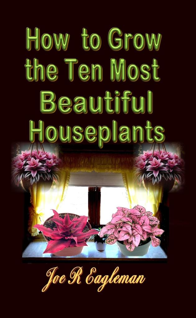 How to Grow the Ten Most Beautiful Houseplants
