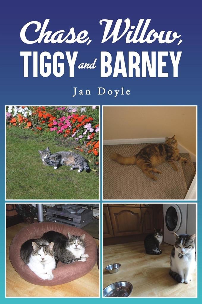Chase Willow Tiggy and Barney