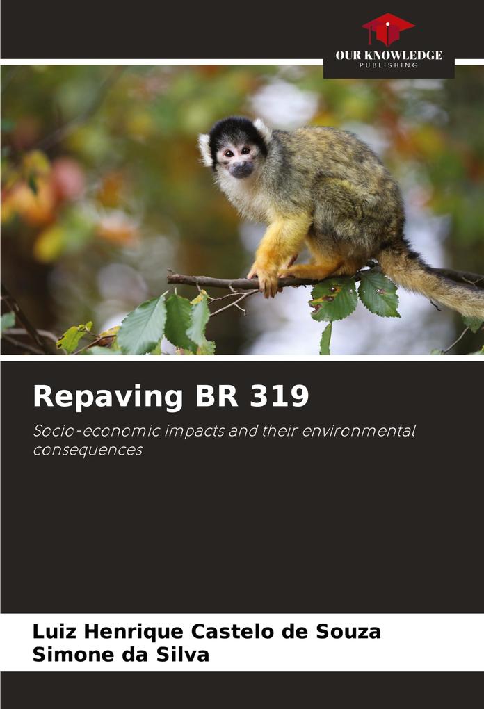 Repaving BR 319