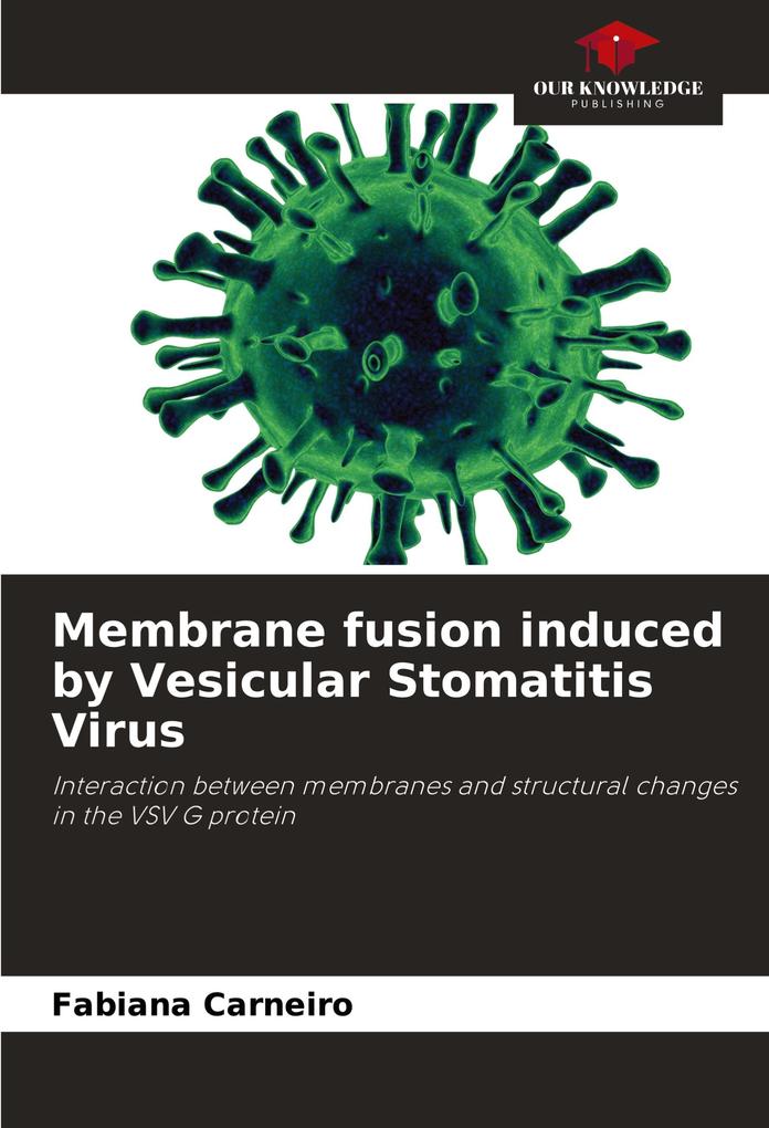 Membrane fusion induced by Vesicular Stomatitis Virus