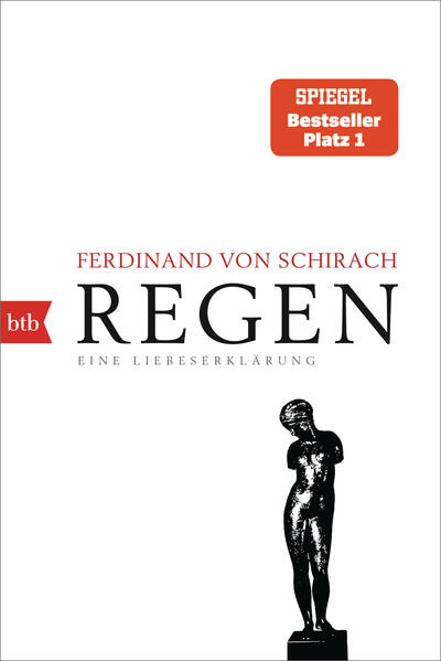 btb Taschenbuch Regen
