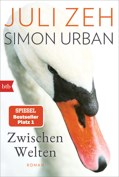 btb Taschenbuch Zwischen Welten