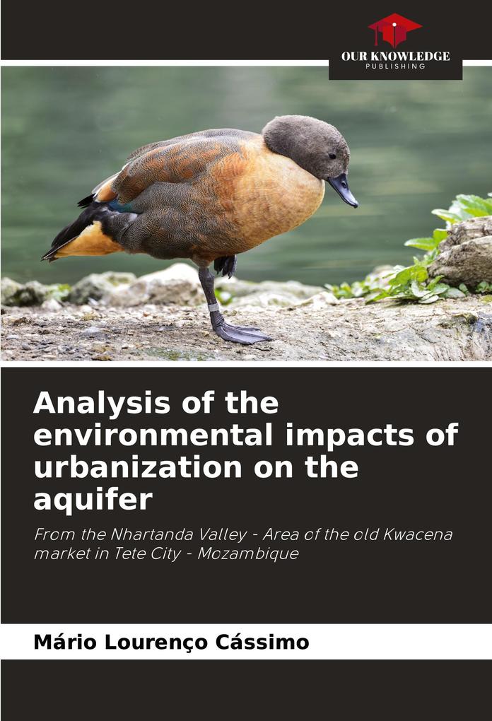 Analysis of the environmental impacts of urbanization on the aquifer