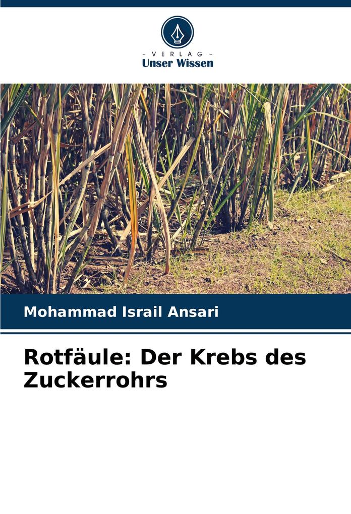 Rotfäule: Der Krebs des Zuckerrohrs