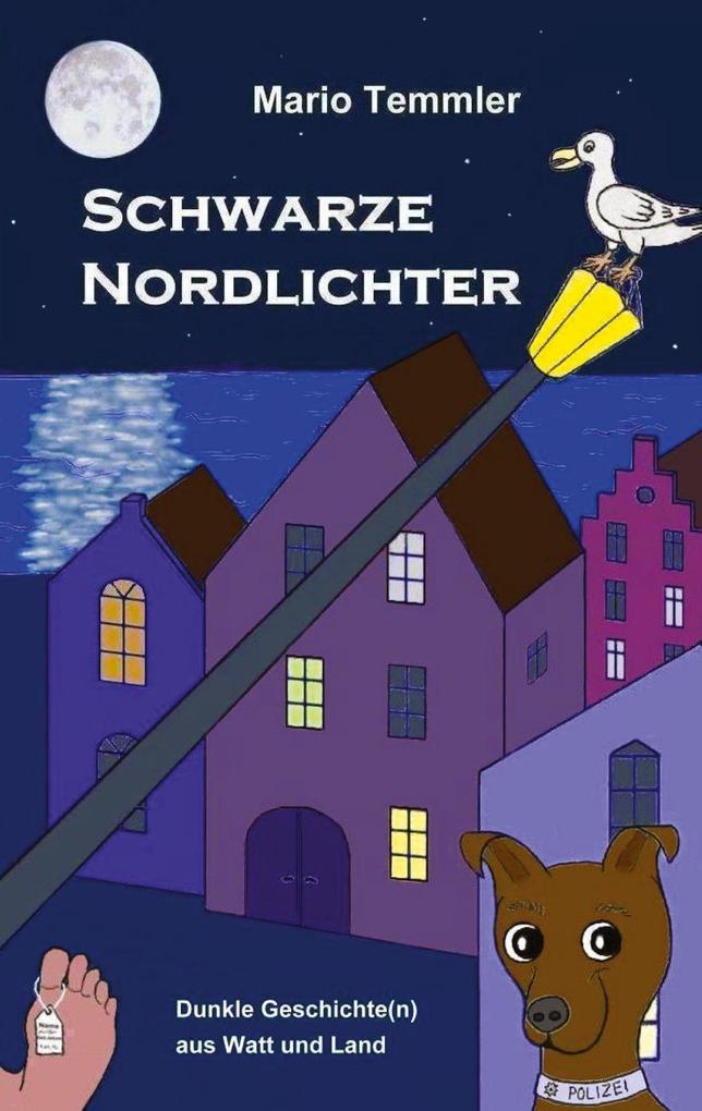 Schwarze Nordlichter