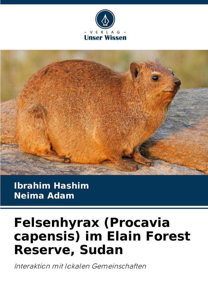 Felsenhyrax (Procavia capensis) im Elain Forest Reserve Sudan