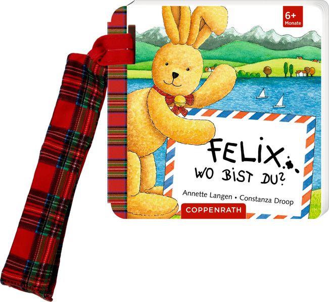 Felix wo bist du? (Buggybuch)